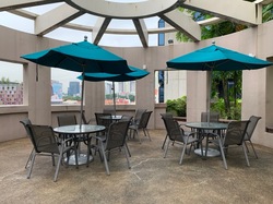 Burlington Square (D7), Apartment #300508581